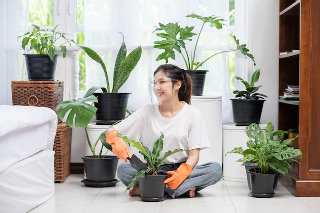 La mujer llevaba guantes naranjas y plantaba árboles en la casa.