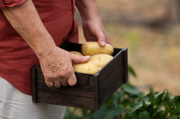 Mujer mayor sosteniendo una caja de papas de su jardín casero