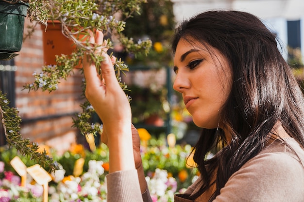 Mujer mirando ramitas de plantas