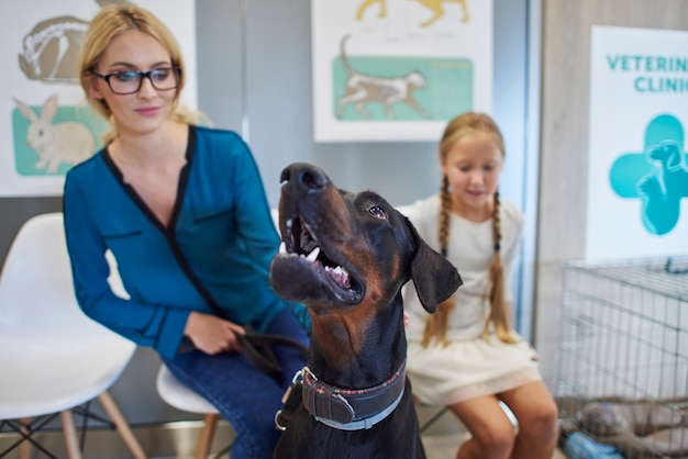 Mujer y niña esperando en el veterinario con su perro doberman