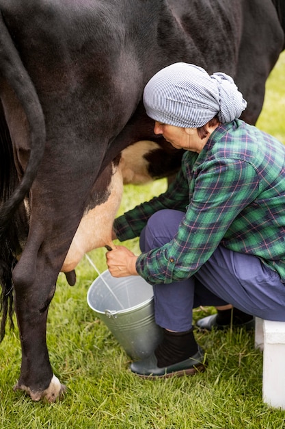 Mujer ordeñando la vaca