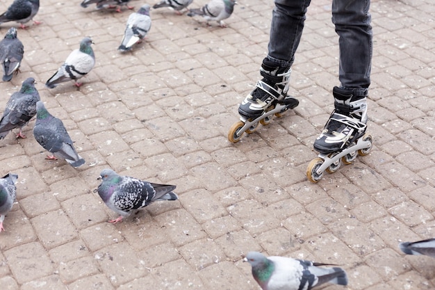 Foto gratuita mujer patinar a través de palomas
