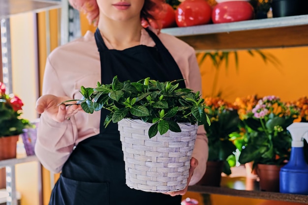 Mujer pelirroja sostiene flor en una vaina en una tienda de mercado.