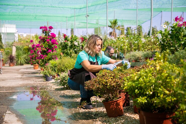 Foto gratuito mujer pensativa cultivar plantas en macetas en invernadero, cortando ramas con podadora. plano amplio, copie el espacio. concepto de trabajo de jardinería