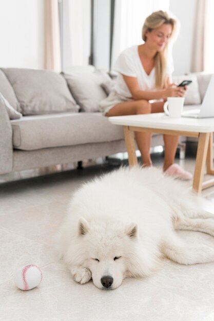 Mujer y perro hermoso y encantador