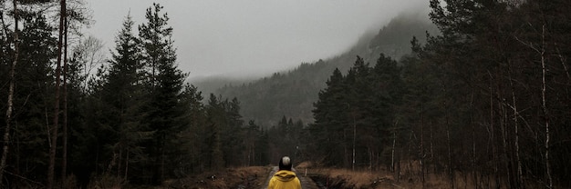 Foto gratuita mujer de pie en un bosque neblinoso