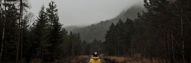 Mujer de pie en un bosque neblinoso