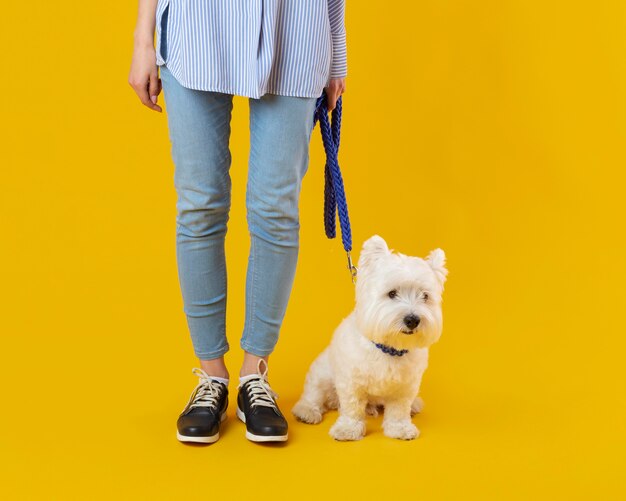 Mujer de pie junto a su adorable perro