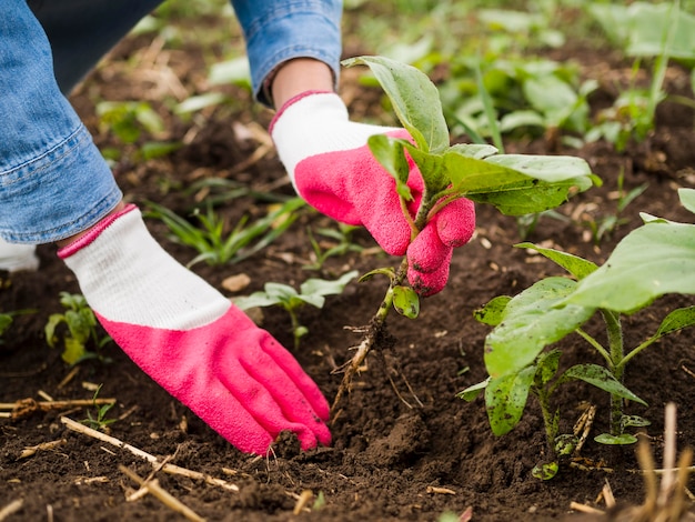 Mujer plantar algo en el suelo