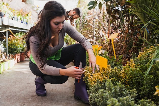 Mujer con podadora tendiendo flores