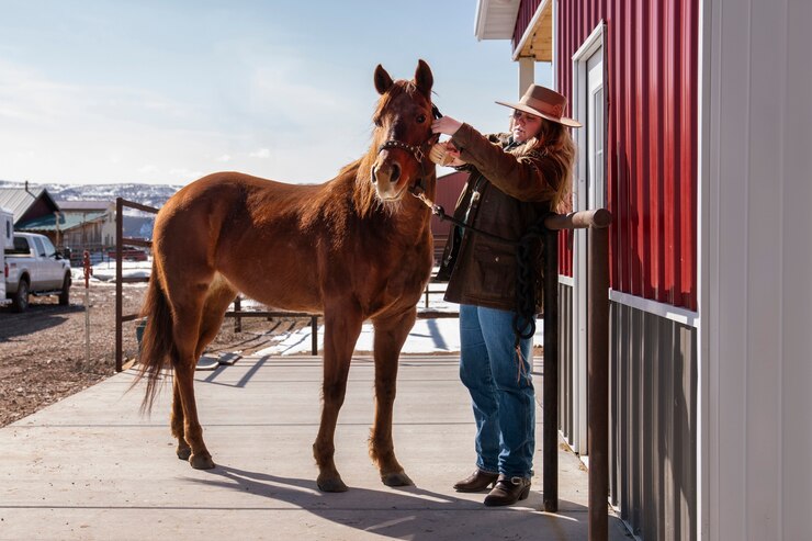 Foto gratuito mujer preocupada por su caballo
