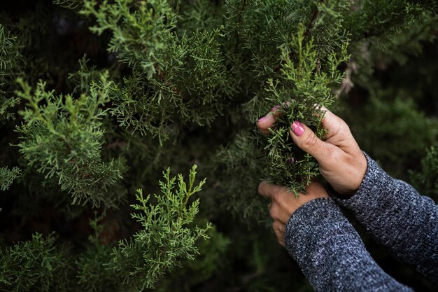 Mujer de primer plano con árbol de navidad