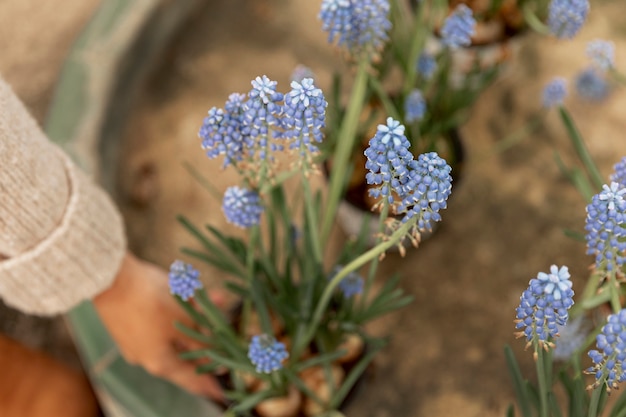 Mujer de primer plano con flores azules