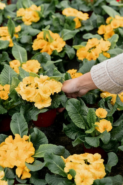 Mujer de primer plano con hermosas flores amarillas