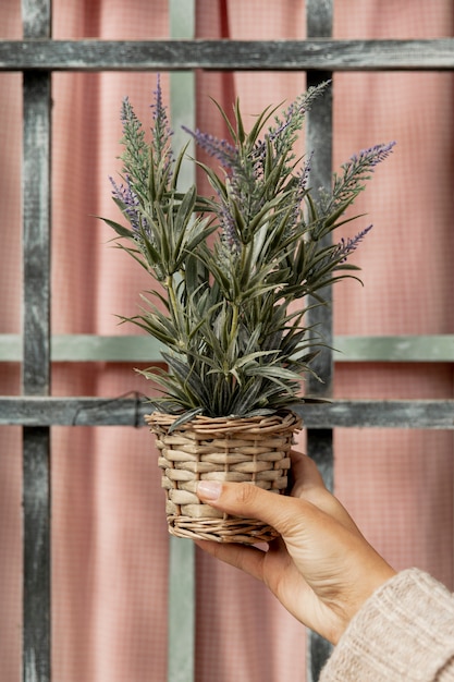 Mujer de primer plano con planta en maceta