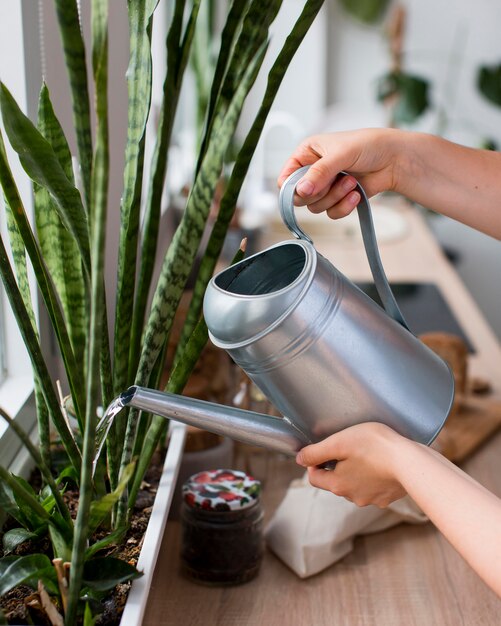 Mujer de primer plano regando las plantas de la casa