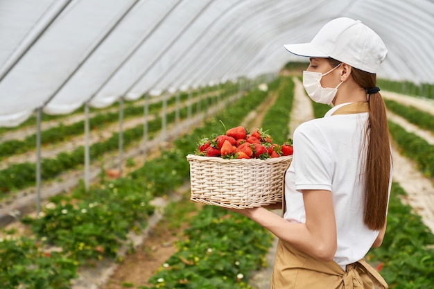 Foto gratuita mujer, en, protector, máscara, tenencia, cesta, con, fresas