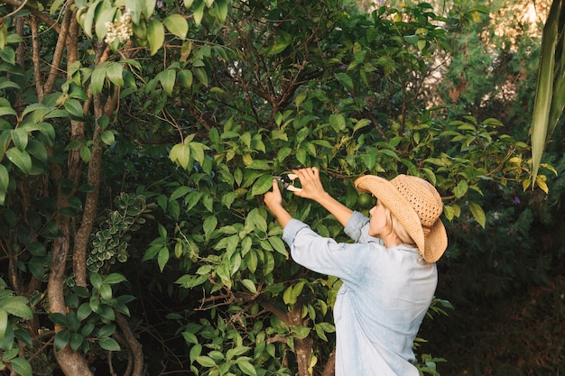 Mujer que cuida el árbol