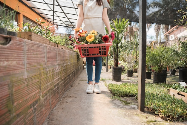 Mujer que sostiene el envase de flores coloridas en invernadero