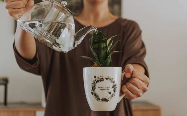 Mujer regando una planta en una taza con una tetera