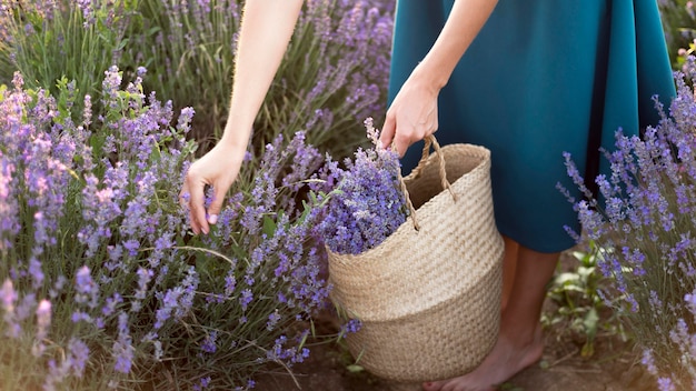 Mujer relajante en campo de flores