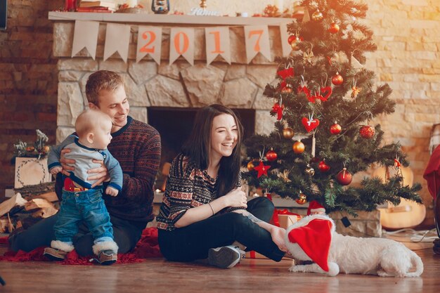 Mujer riendo al ver a su perro con el gorro de papa noel