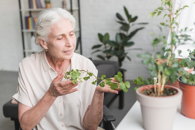 Foto gratuita mujer senior mirando creciente hiedra verde en maceta