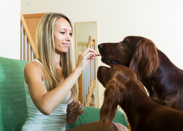 mujer sentada con dos setters irlandeses
