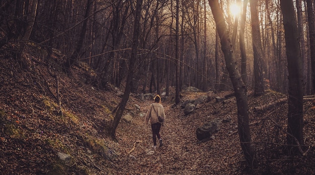 Mujer solitaria caminando en el bosque con árboles desnudos durante el atardecer