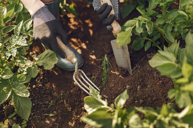 Mujer con sombrero trabajando en un jardín.