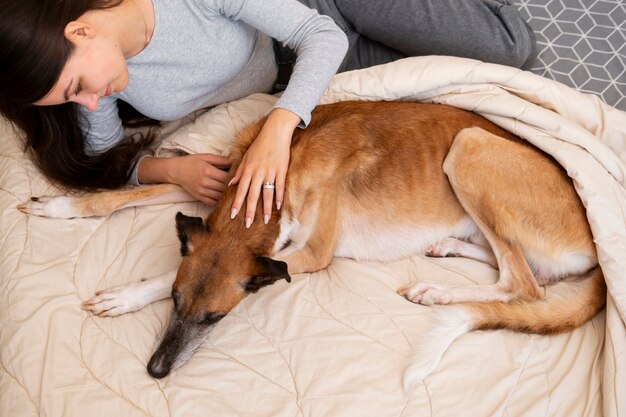 Mujer sonriente acariciando perro alto ángulo