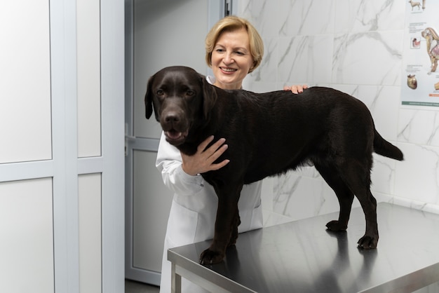 Foto gratuita mujer sonriente de tiro medio con perro