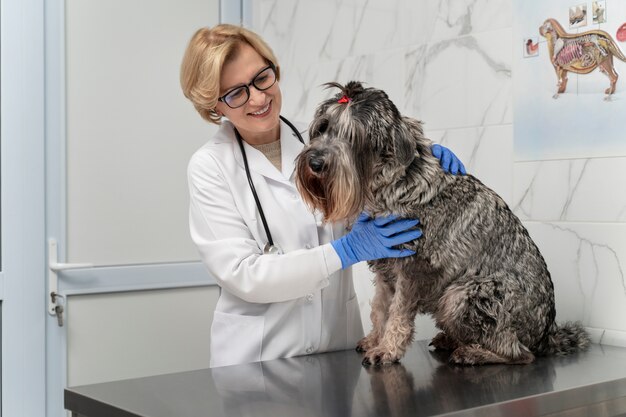 Mujer sonriente de tiro medio revisando perro