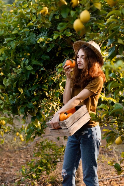 Mujer sosteniendo una canasta con naranjas