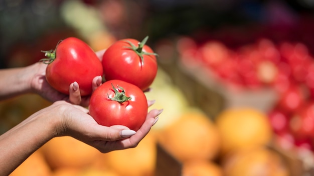 Mujer sosteniendo un manojo de tomates frescos