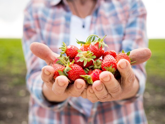 Mujer sosteniendo un montón de fresas