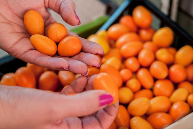 Mujer sosteniendo montón de kumquat. Mujer de compra de frutas y hortalizas en el mercado local de alimentos. Puesto de mercado con variedad de frutas orgánicas.