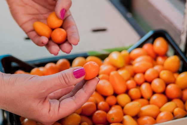 Mujer sosteniendo montón de kumquat. Mujer de compra de frutas y hortalizas en el mercado local de alimentos. Puesto de mercado con variedad de frutas orgánicas.