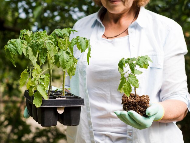 Mujer sosteniendo una planta y otras macetas con plantas