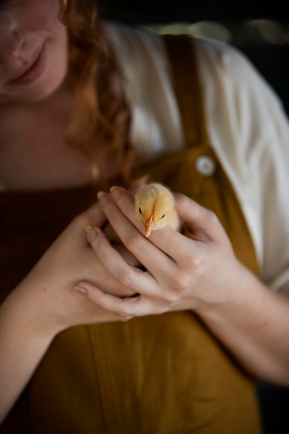 Mujer sosteniendo pollo de cerca