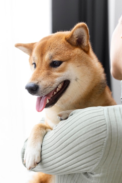 Mujer sosteniendo a su perro en sus brazos