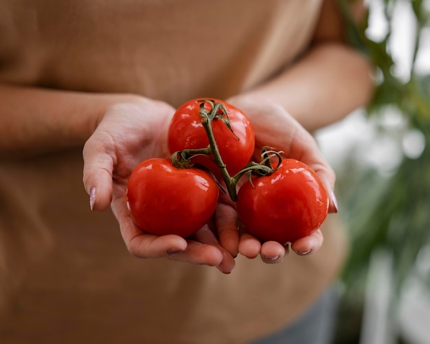 Foto gratuita mujer sosteniendo tomates de cosecha propia