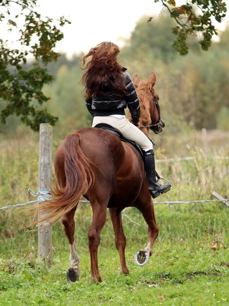 Mujer y su caballo marrón