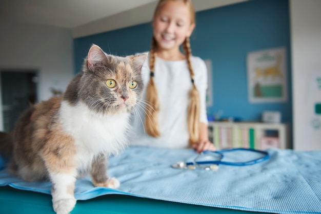 Mujer y su gato en el veterinario