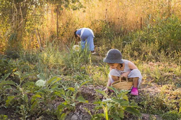 Mujer y su hija cosechando vegetales en el campo.