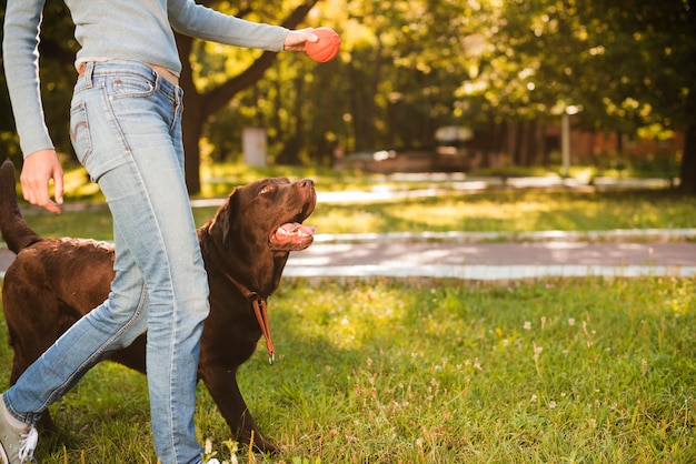 Mujer con su perro caminando sobre la hierba en el parque