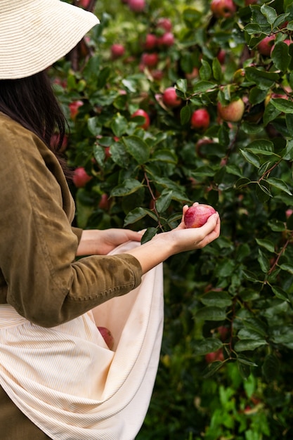 mujer, tenencia, fruta, alto ángulo