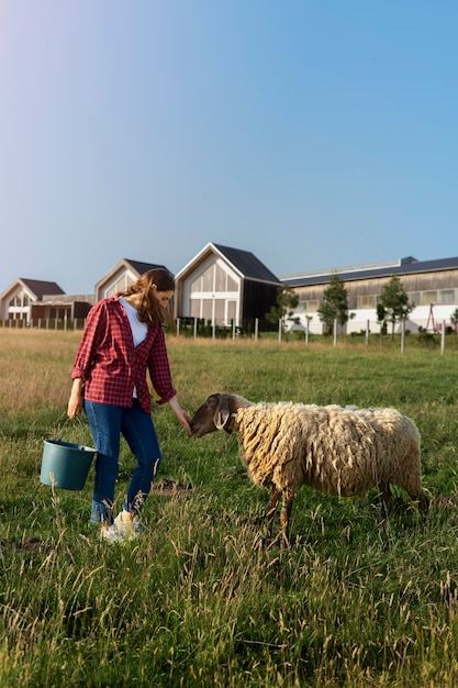 Foto gratuita mujer de tiro completo acariciando ovejas