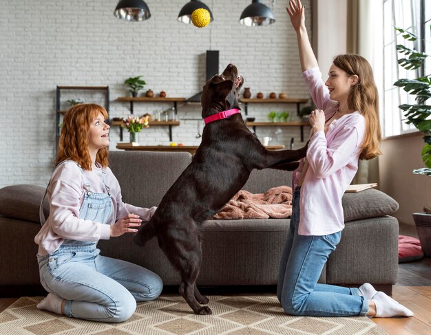 Mujer de tiro completo y perro jugando juntos