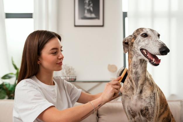 Foto gratuita mujer de tiro medio cepillando perro